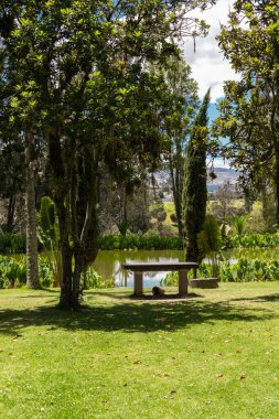 Ağaçların yansımaları ve yemyeşil sularla dolu sakin bir gölet. Kenarında taştan bir bank. Parlak gökyüzünün altında huzurlu ve doğal bir bahçe manzarası oluşturuyor..