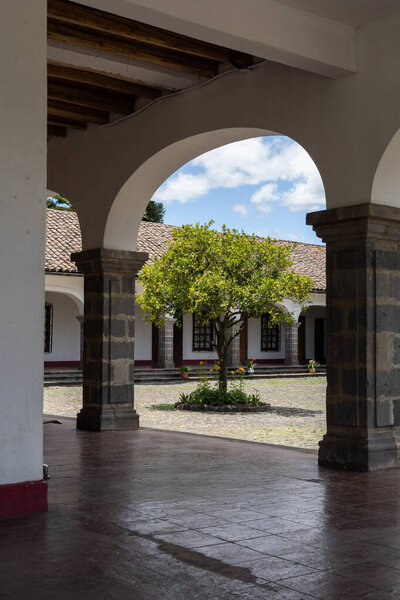 Красивый вид на двор в колониальном стиле с единственным зеленым деревом в центре, обрамленным каменными арками и традиционной архитектурой.
