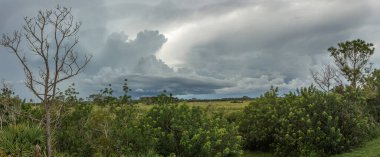 Fırtına sulak alanlara doğru ilerliyor.