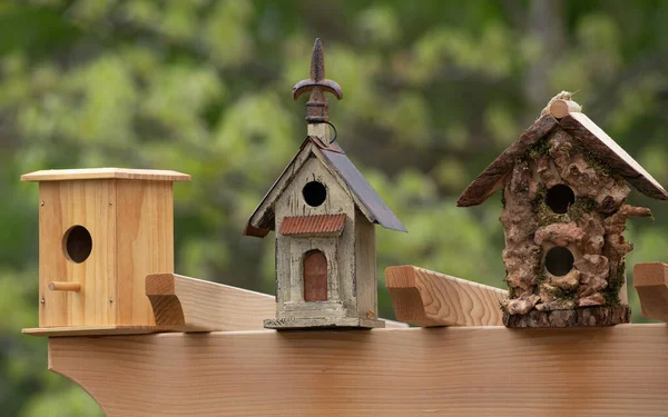 Boş Kuş Evlerinin Ziyaretçiye Ihtiyacı Var — Stok fotoğraf