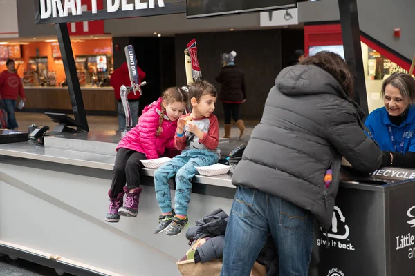 Detroit Michigan Usa 2020 Hockeytown Winter Festival 2020 — Stockfoto