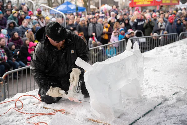 Plymouth Michigan Usa 2020 City Plymouth Ice Festival 2020 — Stockfoto