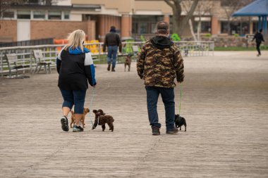 Bilinmeyen çift koruyucu maskeler takmış köpekleri parkta gezdiriyor.
