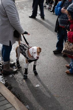 Plymouth, Michigan, ABD - 01.12.2020: Plymouth Buz Festivali 2020.