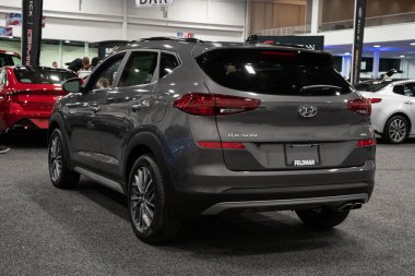 Novi, Michigan, ABD - 01.04.2020: Güneydoğu Michigan Otomobil Fuarı ve 2020 otomobil ve kamyonun tamamı.