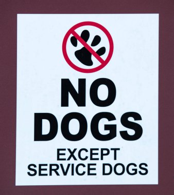 Tabelada hizmet köpekleri dışında köpek yasak yazıyor.