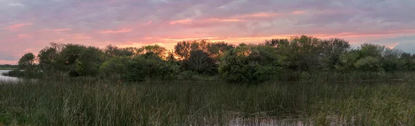 Noite Vibrante Nas Zonas Húmidas Pano — Fotografia de Stock