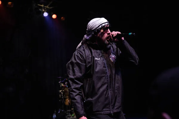 Detroit Michigan Amerika Serikat 2019 Cypress Hill Tampil Langsung Fillmore — Stok Foto