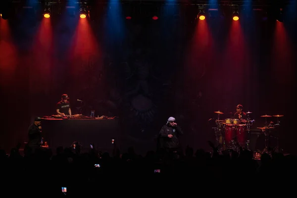 Detroit Michigan Amerika Serikat 2019 Cypress Hill Tampil Langsung Fillmore — Stok Foto