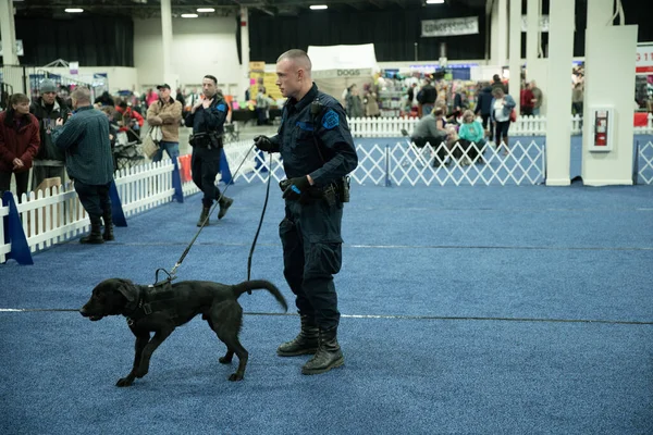 Novi Michigan Usa 2020 Michigan Winter Dog Classic Expo 2020 Stock Photo