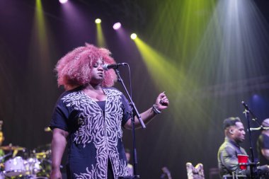 Orlando, Florida, ABD - 10.04.2017: Robert Randolph ve Aile Grubu Plaza Tiyatrosu 'nda sahne aldı.