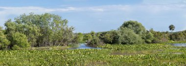 Nehirle ve mavi gökyüzüyle manzara