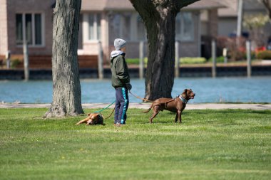 Harrison Township, Michigan, ABD - 10 Mayıs 2020: Covid-19 sırasında Michigan Metro Parkı etkinliği, Corona Virüsü.