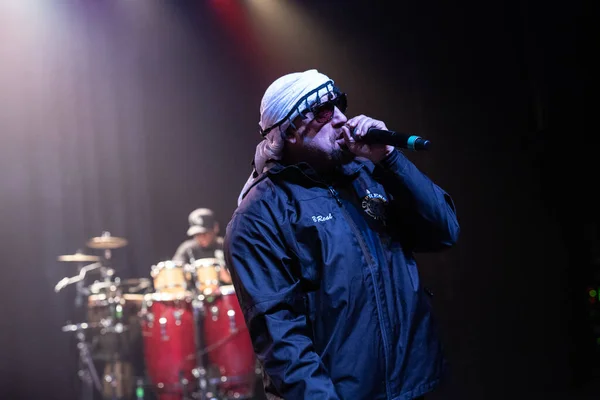 Detroit Michigan Eua 2019 Cypress Hill Apresentando Vivo Fillmore Detroit — Fotografia de Stock