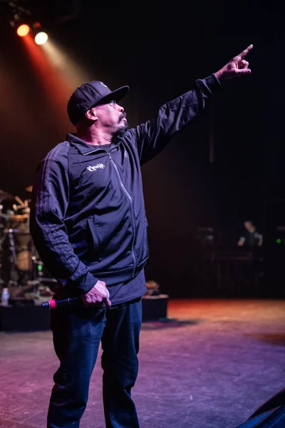 Detroit Michigan Usa 2019 Cypress Hill Esibisce Dal Vivo Fillmore — Foto Stock