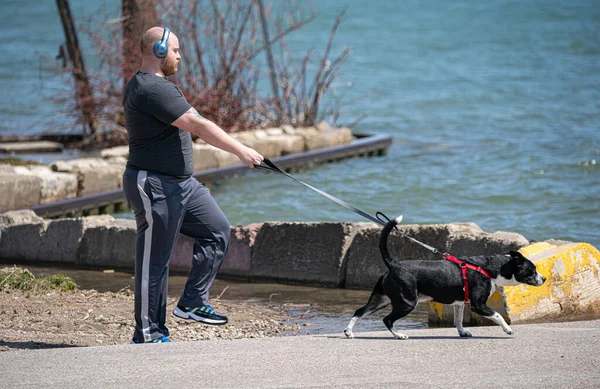Homem Andando Com Cão Harrison Township Michigan Eua Maio 2020 — Fotografia de Stock