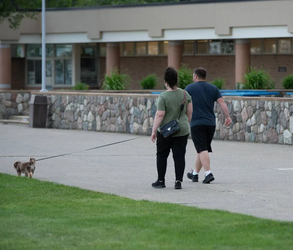 Ismeretlen Pár Sétáltatja Kutyát Asunny Nap Parkban Tartani — Stock Fotó