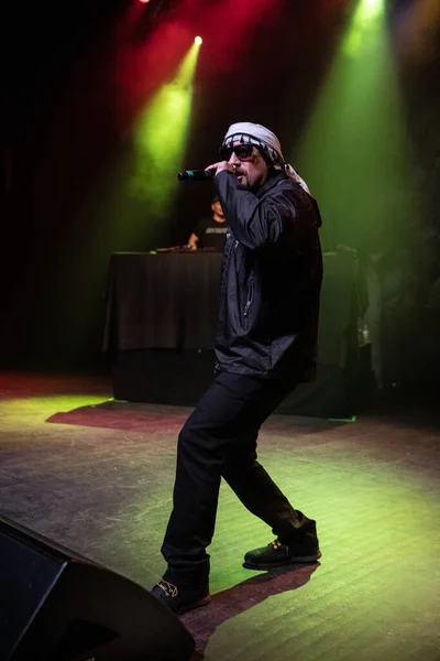 Detroit Michigan Estados Unidos 2019 Cypress Hill Actúa Vivo Fillmore — Foto de Stock