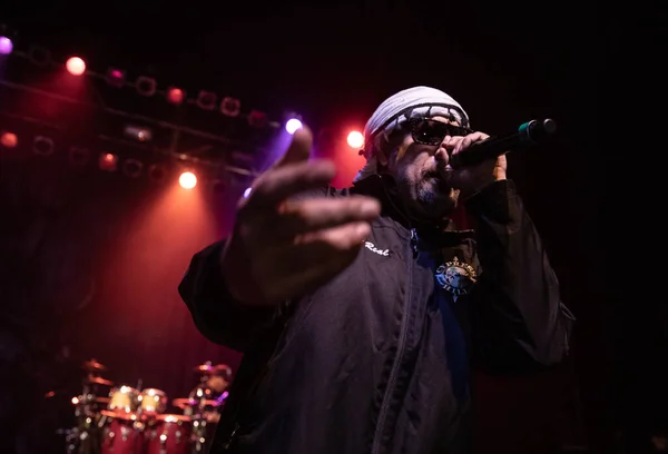 Detroit Michigan Usa 2019 Cypress Hill Live Fillmore Detroit — Stockfoto