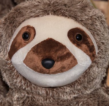 Bir kürk gözün yakın çekimi.