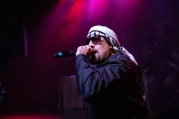 Детройт Штат Мичиган Сша 2019 Cypress Hill Выступают Вживую Fillmore — стоковое фото