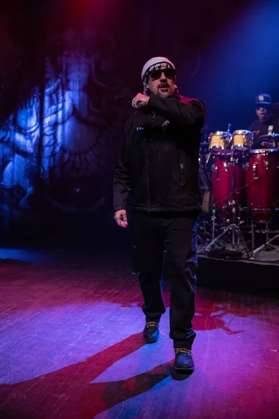 Detroit Michigan Usa 2019 Cypress Hill Concert Fillmore Detroit — Photo