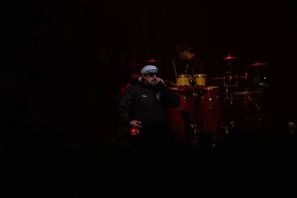 Detroit Michigan Abd 2019 Cypress Hill Detroit Fillmore Canlı Performans — Stok fotoğraf