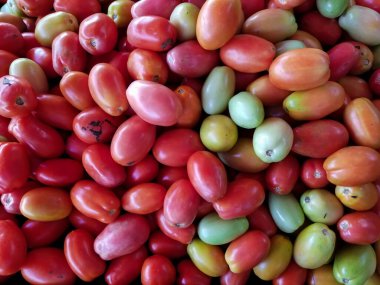 Bahçenizden toplanmış canlı domatesler.