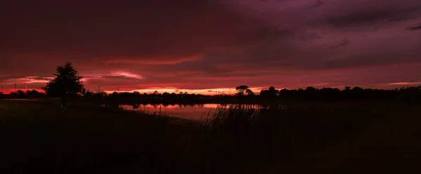 Parktaki Panoramada Hava Karardıktan Sonra Gece Gökyüzü Parlıyor — Stok fotoğraf