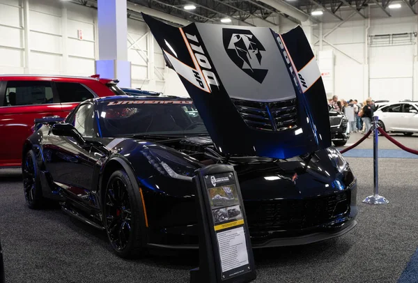 Novi Michigan Eua 2020 Southeast Michigan Auto Show Estreia Todos — Fotografia de Stock