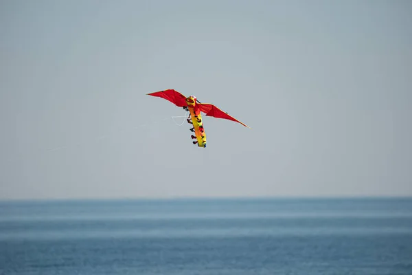 Kite Flying Sky — Stock Photo, Image