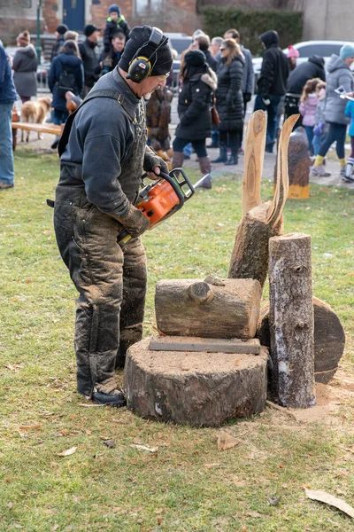 Plymouth Michigan Usa 2020 City Plymouth Ice Festival 2020 — Stockfoto