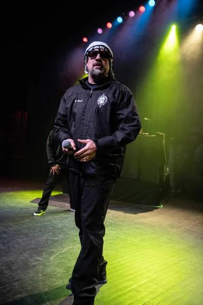 Detroit Michigan Eua 2019 Cypress Hill Apresentando Vivo Fillmore Detroit — Fotografia de Stock