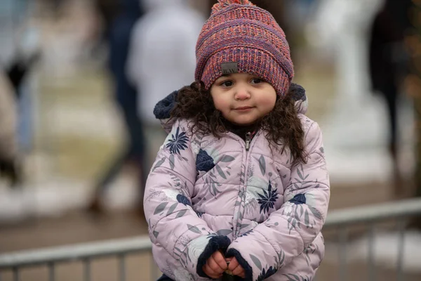 Plymouth Michigan Verenigde Staten 2020 City Plymouth Ice Festival 2020 — Stockfoto