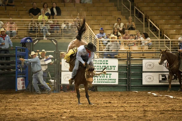 Kissimmee Florida Usa 2017 Florida Ranch Rodeo Cowboy Heritage Festival — Stockfoto