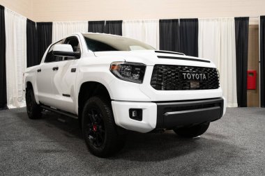 Toledo, Ohio, ABD - 02.07.2020: Büyük Toledo Otomobil Fuarı 2020, The Blade tarafından sunuldu, en yeni araç modelleri ve otomotiv teknolojisinde son gelişmeler.