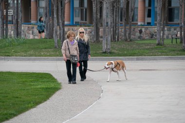 Harrison Township, Michigan, ABD - 01 Mayıs 2020: Covid-19 Corona Virüsü sırasında Michigan Metro Parkı etkinliği.