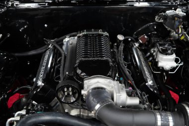 Detroit, Michigan, ABD 28 Şubat 2020: 68. Geleneksel Otomatik Rod Gösterisi ve Fuarı.