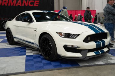 Detroit, Michigan, ABD 28 Şubat 2020: 68. Geleneksel Otomatik Rod Gösterisi ve Fuarı.