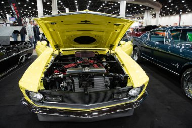 Detroit, Michigan, ABD 28 Şubat 2020: 68. Geleneksel Otomatik Rod Gösterisi ve Fuarı.