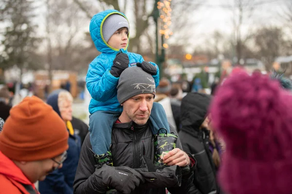 Plymouth Michigan Usa 2020 City Plymouth Ice Festival 2020 — Stockfoto