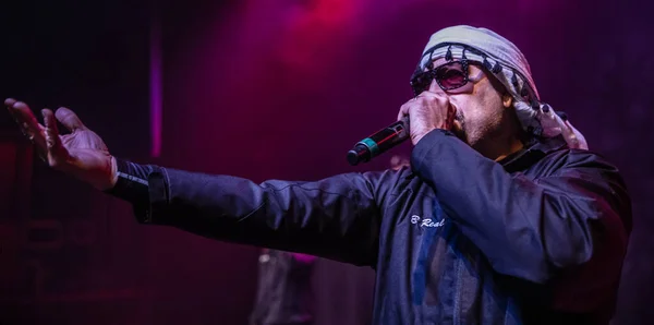 Detroit Michigan Estados Unidos 2019 Cypress Hill Actúa Vivo Fillmore — Foto de Stock