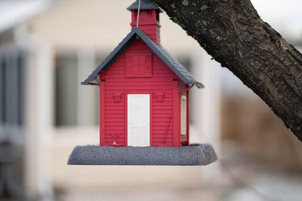 Red Birdhouse Wisi Twoim Drzewie — Zdjęcie stockowe