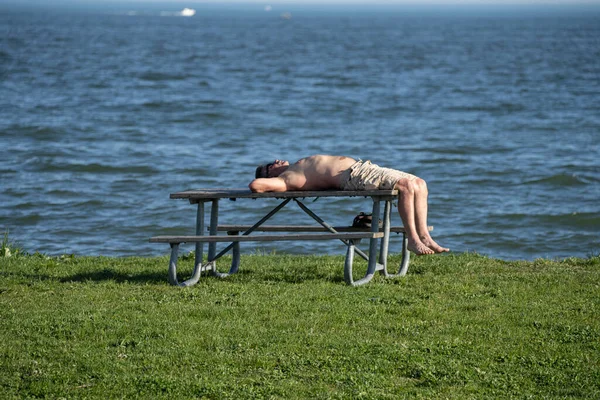 Michigan Metro Park Aktivität Memorial Day Während Der Corona Virus — Stockfoto