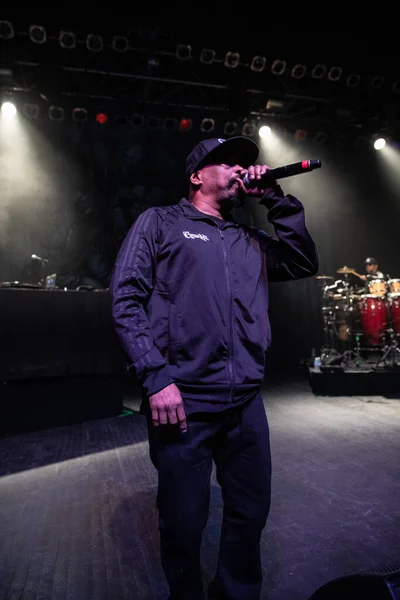 Detroit Michigan Usa 2019 Cypress Hill Élőben Detroiti Fillmore Ban — Stock Fotó