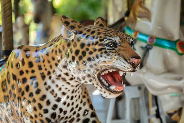 Leopard Grădina Zoologică — Fotografie, imagine de stoc