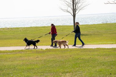 Harrison Township, Michigan / ABD - 19 Nisan 2020: Corona Virüsü sırasında Michigan Metro Parkı etkinliği.