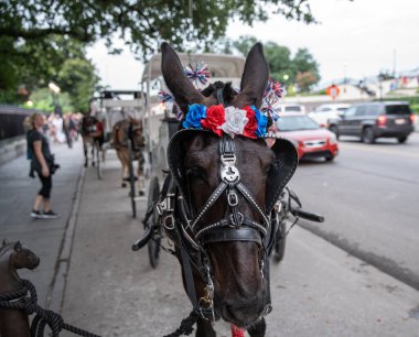 Yolda giderken at kafasının etrafını kapatın.