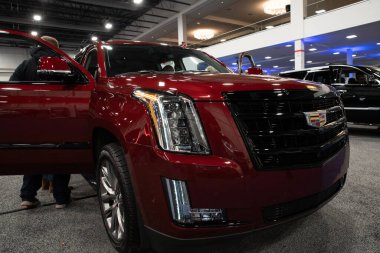 Novi, Michigan, ABD - 01.04.2020: Güneydoğu Michigan Otomobil Fuarı ve 2020 otomobil ve kamyonun tamamı.