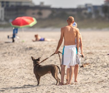 Sahilde köpek gezdiren kadın ve erkek.